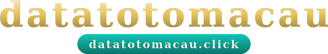 datatotomacau logo